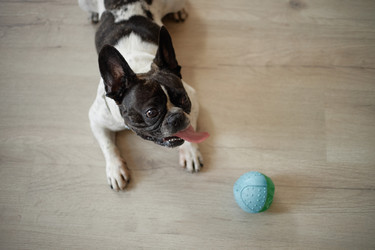 Similar image 22260878