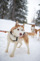 Similar image 22261285