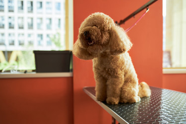 Similar image 22263226