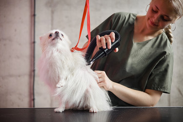 Similar image 22260754