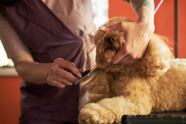 Similar image 22263229