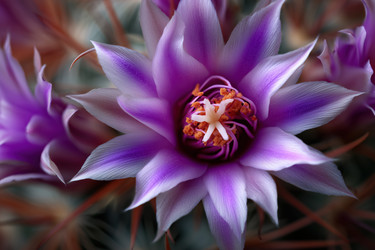 Similar image 22265710