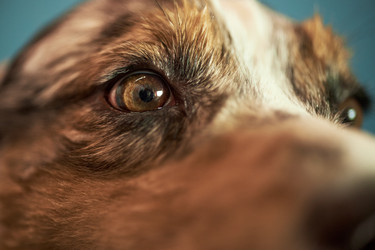 Similar image 22263267