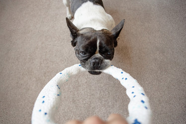 Similar image 22260884