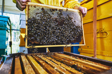 Similar image 22261378