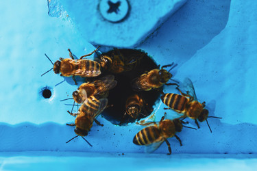 Similar image 22261356