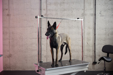 Similar image 22260769