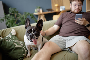 Similar image 22260912