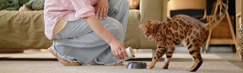 Similar image 22260938