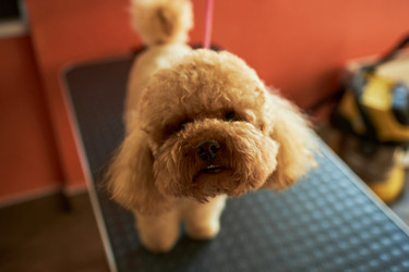 Similar image 22263227