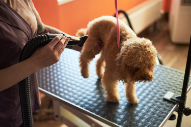 Similar image 22263247