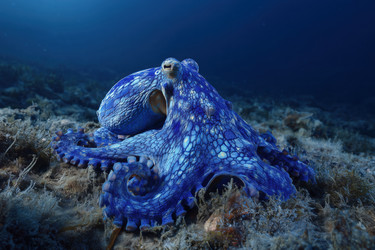 Similar image 22265719