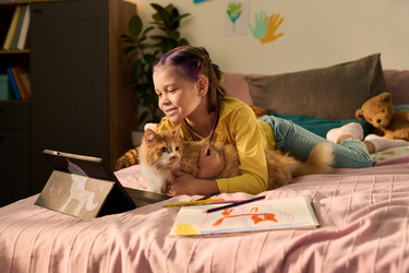 Similar image 22262626