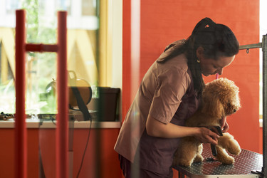 Similar image 22263209