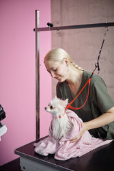 Similar image 22260752