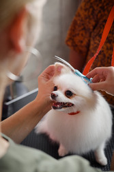 Similar image 22260757