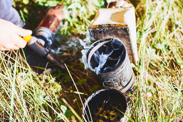 Similar image 22261396