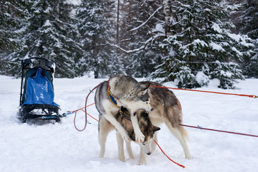 Similar image 22261286