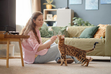 Similar image 22260930