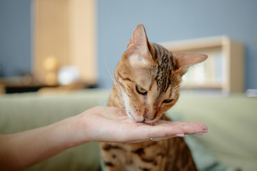 Similar image 22260918