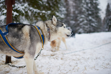 Similar image 22261282