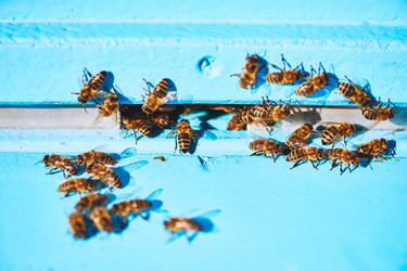 Similar image 22261352