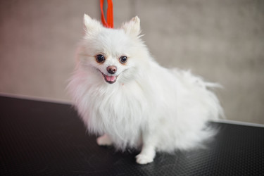 Similar image 22260746