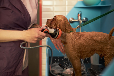 Similar image 22263243