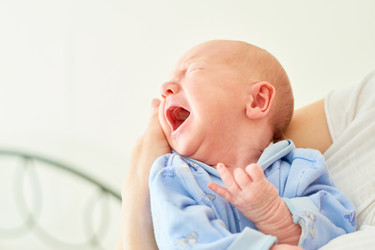 Similar image 22261449