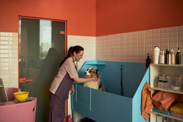 Similar image 22263263