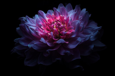 Similar image 22265760