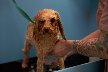 Similar image 22263240