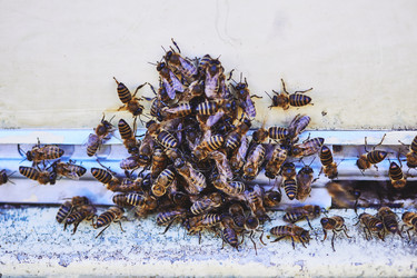 Similar image 22261393