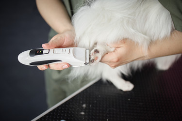 Similar image 22260749