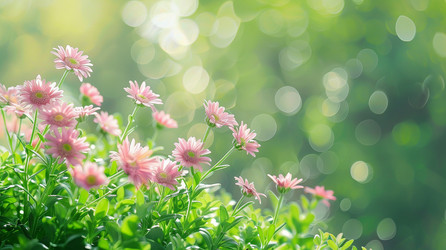 Similar image 22268573