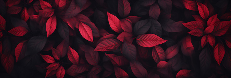 Similar image 22269687