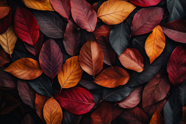 Similar image 22269754