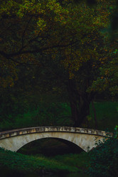 Similar image 22268588