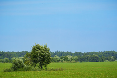 Similar image 22250354