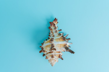 Similar image 22250369