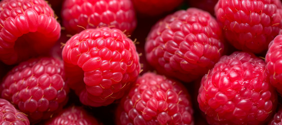 Similar image 22271078