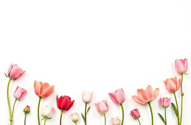 Similar image 22267459