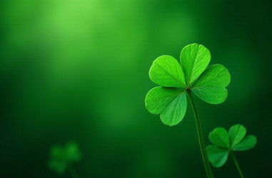 Similar image 22267210