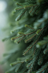 Similar image 22267956