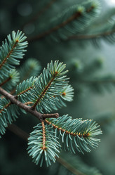 Similar image 22267965