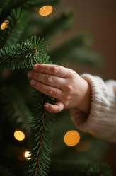 Similar image 22267967