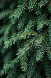 Similar image 22267981