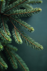 Similar image 22267982