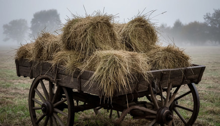 Similar image 22259558