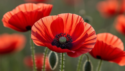 Similar image 22255764